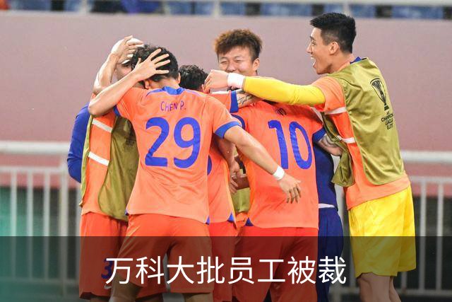 万科大批员工被裁