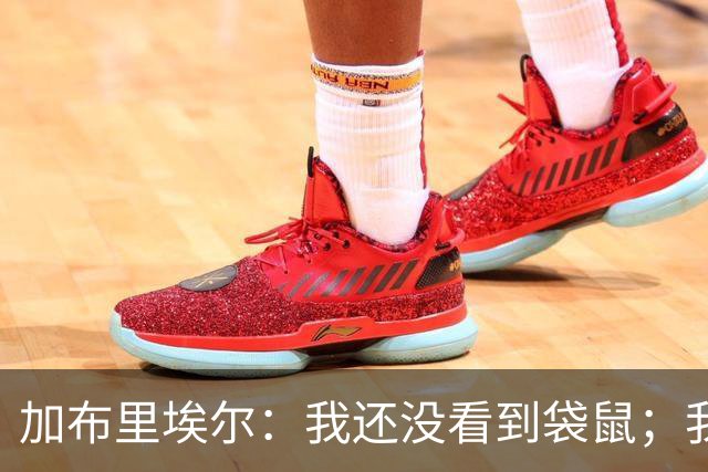 加布里埃尔：我还没看到袋鼠；我和拉菲尼亚聊过了他没事