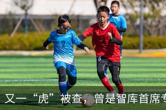 又一“虎”被查，曾是智库首席专家
