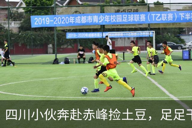 四川小伙奔赴赤峰捡土豆，足足干了 16 天，到账金额让他彻底看傻了