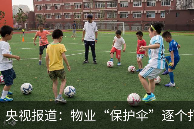 央视报道：物业“保护伞”逐个打破，查案1.2万件，6481人被处分