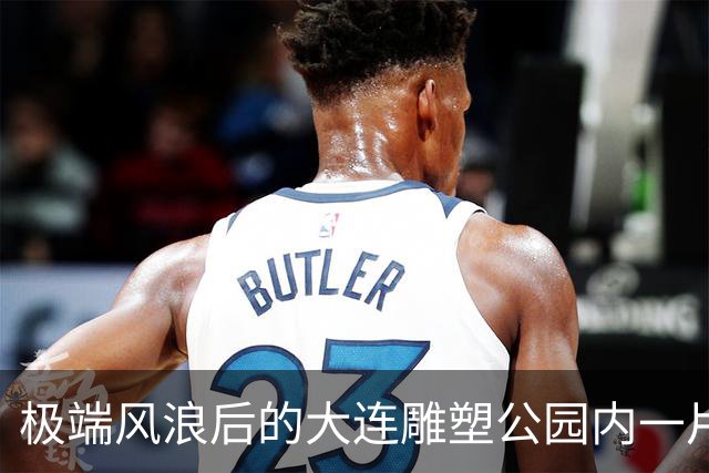 极端风浪后的大连雕塑公园内一片狼藉！维修方案正在审批中
