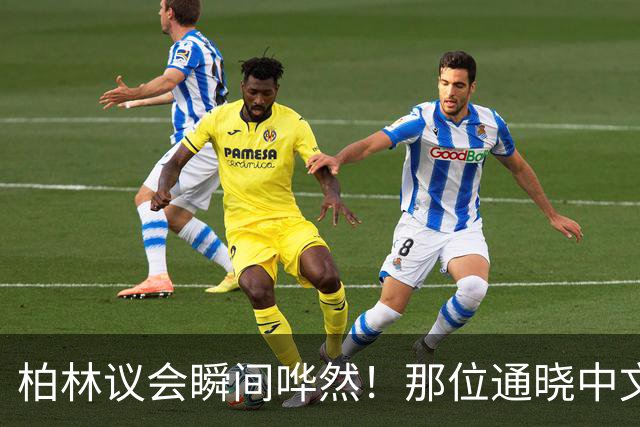 柏林议会瞬间哗然！那位通晓中文的女博士魏德尔当场抛出三个尖锐问题：若切断中德经贸往来，你们拿什么维持德国工人的生计？