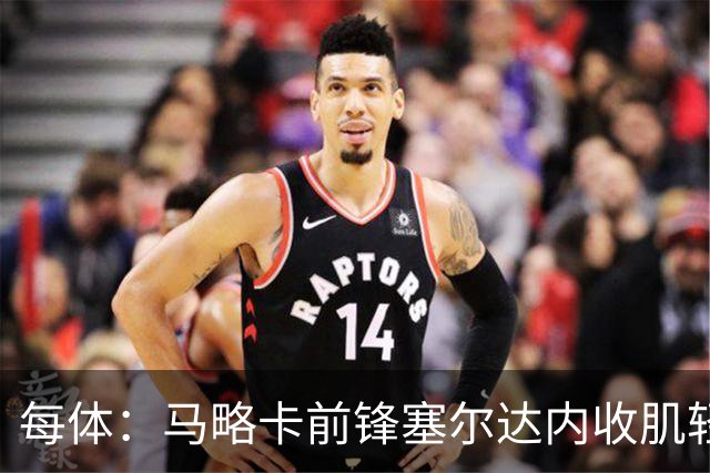 每体：马略卡前锋塞尔达内收肌轻微撕裂，预计缺阵2周