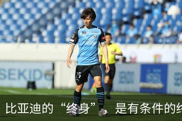 比亚迪的“终身”，是有条件的终身。特斯拉的8年，是随车的8年