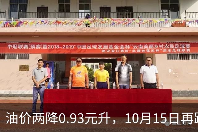 油价两降0.93元/升，10月15日再跌的话，一箱油能省54至59元吗？