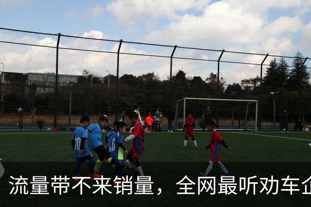 流量带不来销量，全网最听劝车企董事长离职