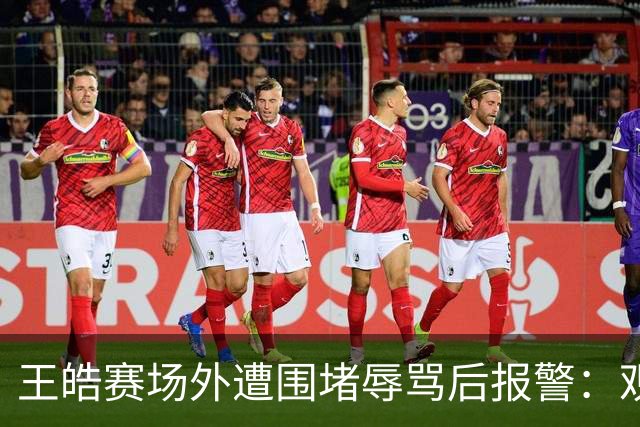 王皓赛场外遭围堵辱骂后报警：观赛表达的法律边界在哪？“法不责众”能成为免责理由吗？律师解读