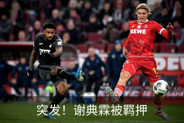 突发！谢典霖被羁押