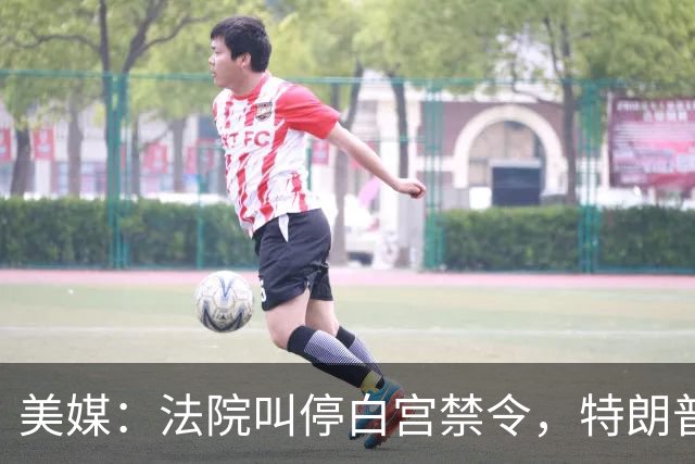 美媒：法院叫停白宫禁令，特朗普政府提出上诉