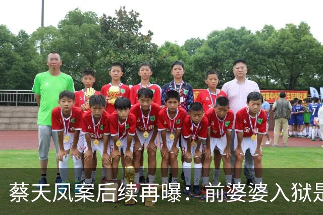蔡天凤案后续再曝：前婆婆入狱是开胃菜，前夫一家代价更大