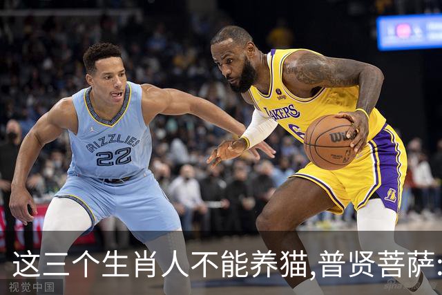 这三个生肖人不能养猫,普贤菩萨:不是养不起,是相生相克,因果相撞