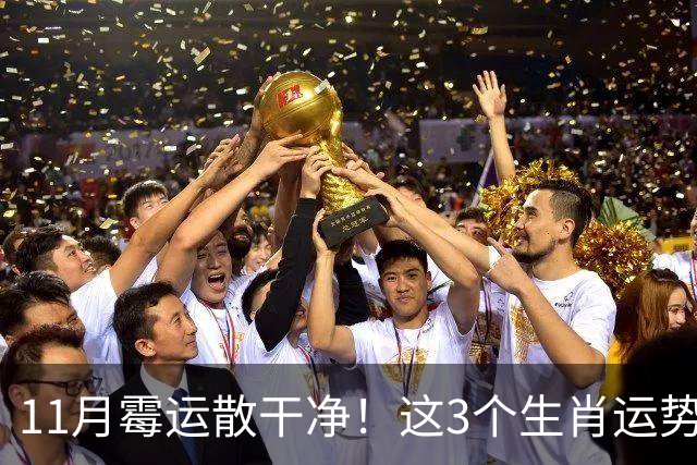 11月霉运散干净！这3个生肖运势提升一大截，机会挨个上门