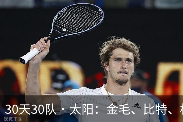 30天30队·太阳：金毛、比特、杜宾和二哈