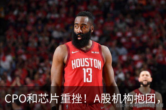 CPO和芯片重挫！A股机构抱团，又一次“多杀多”……