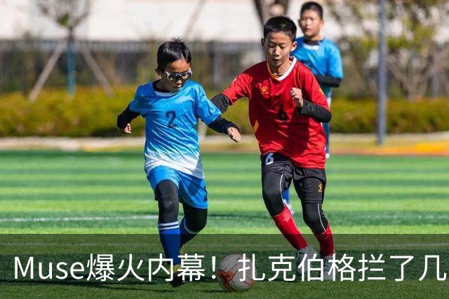 Muse爆火内幕！扎克伯格拦了几个月，最后又冒险拍板放行
